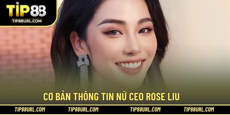 Cơ bản thông tin hiểu hơn về nữ CEO Bảo Ly